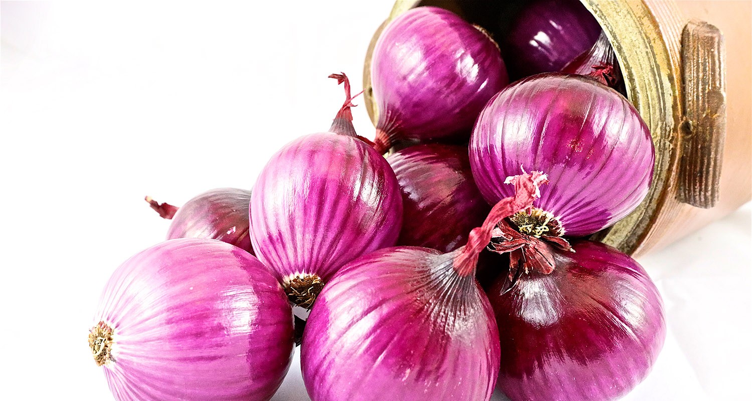 Oignons Rouges sur fond blanc