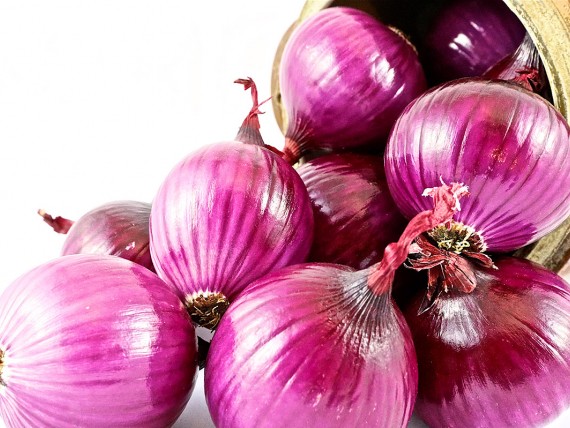 Oignons Rouges sur fond blanc